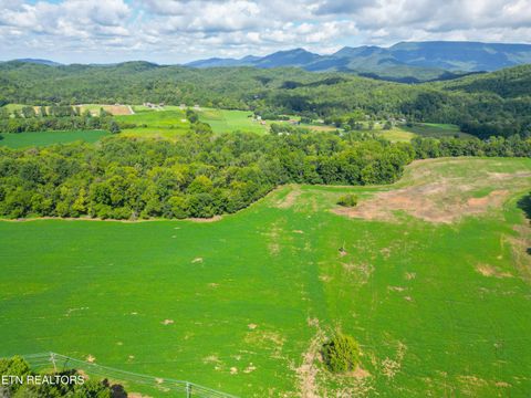 Tiny photo for 61 Cosby Hwy, Cosby, TN 37722 (MLS # 1317447)