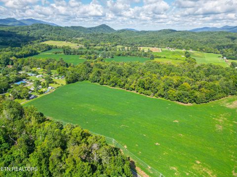 Tiny photo for 61 Cosby Hwy, Cosby, TN 37722 (MLS # 1317447)