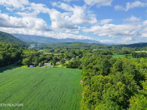 Tiny photo for 61 Cosby Hwy, Cosby, TN 37722 (MLS # 1317447)