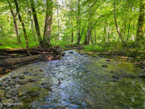 Tiny photo for 61 Cosby Hwy, Cosby, TN 37722 (MLS # 1317447)