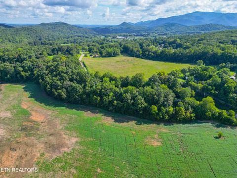 Tiny photo for 61 Cosby Hwy, Cosby, TN 37722 (MLS # 1317447)