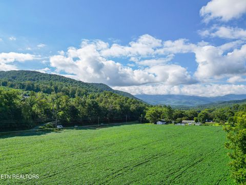 Tiny photo for 61 Cosby Hwy, Cosby, TN 37722 (MLS # 1317447)