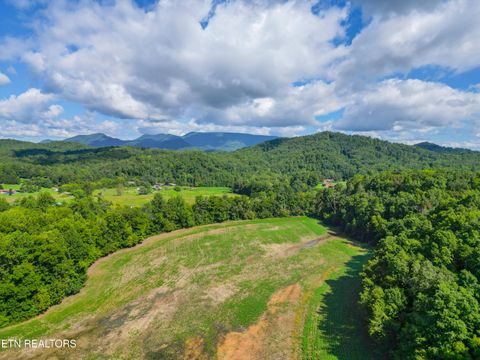 Tiny photo for 61 Cosby Hwy, Cosby, TN 37722 (MLS # 1317447)