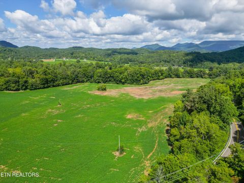 Tiny photo for 61 Cosby Hwy, Cosby, TN 37722 (MLS # 1317447)