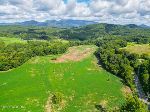 Tiny photo for 61 Cosby Hwy, Cosby, TN 37722 (MLS # 1317447)