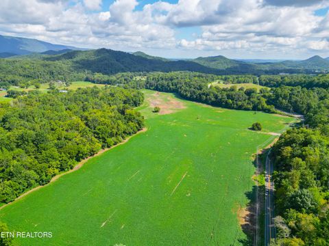 Tiny photo for 61 Cosby Hwy, Cosby, TN 37722 (MLS # 1317447)