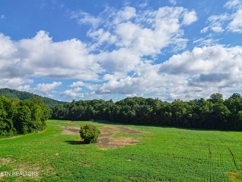 Tiny photo for 61 Cosby Hwy, Cosby, TN 37722 (MLS # 1317447)