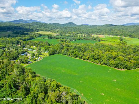 Tiny photo for 61 Cosby Hwy, Cosby, TN 37722 (MLS # 1317447)