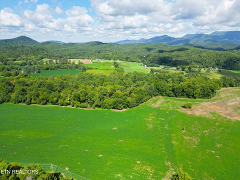 Tiny photo for 61 Cosby Hwy, Cosby, TN 37722 (MLS # 1317447)