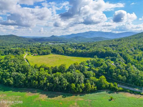 Tiny photo for 61 Cosby Hwy, Cosby, TN 37722 (MLS # 1317447)