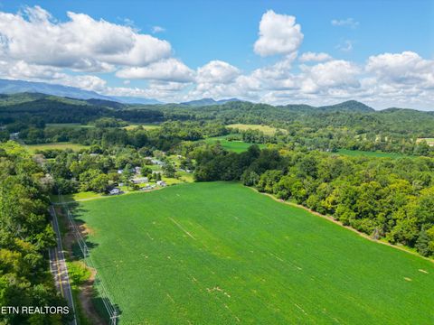 Tiny photo for 61 Cosby Hwy, Cosby, TN 37722 (MLS # 1317447)