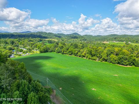 Tiny photo for 61 Cosby Hwy, Cosby, TN 37722 (MLS # 1317447)