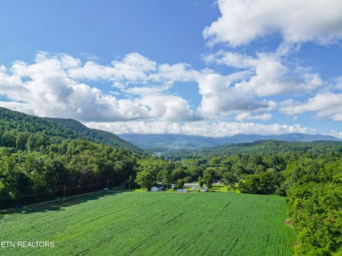 Tiny photo for 61 Cosby Hwy, Cosby, TN 37722 (MLS # 1317447)