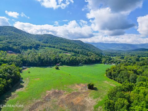 Tiny photo for 61 Cosby Hwy, Cosby, TN 37722 (MLS # 1317447)