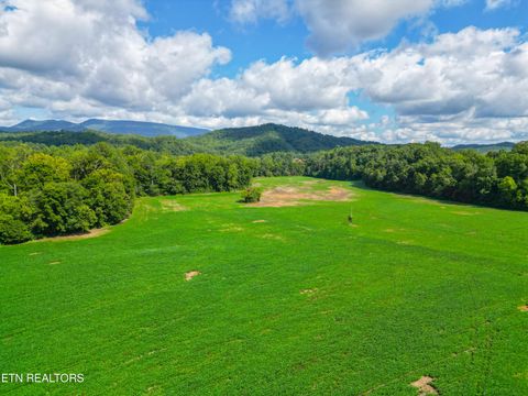 Tiny photo for 61 Cosby Hwy, Cosby, TN 37722 (MLS # 1317447)