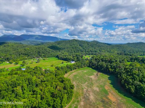 Tiny photo for 61 Cosby Hwy, Cosby, TN 37722 (MLS # 1317447)