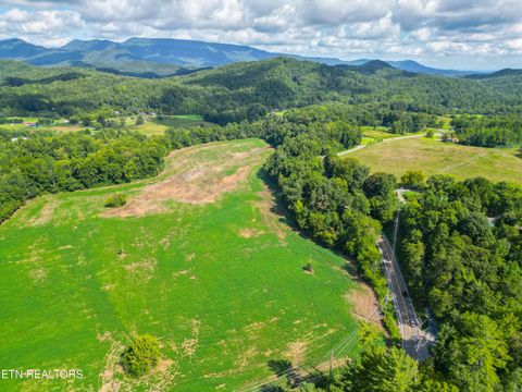 Tiny photo for 61 Cosby Hwy, Cosby, TN 37722 (MLS # 1317447)