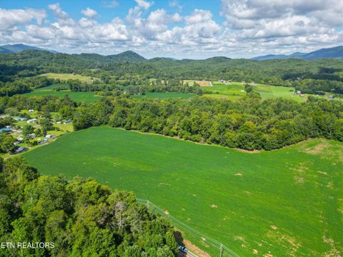 Tiny photo for 61 Cosby Hwy, Cosby, TN 37722 (MLS # 1317447)