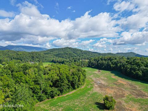 Tiny photo for 61 Cosby Hwy, Cosby, TN 37722 (MLS # 1317447)