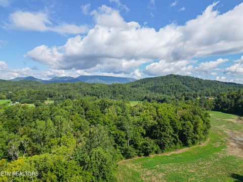 Tiny photo for 61 Cosby Hwy, Cosby, TN 37722 (MLS # 1317447)