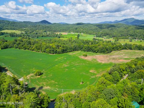 Tiny photo for 61 Cosby Hwy, Cosby, TN 37722 (MLS # 1317447)
