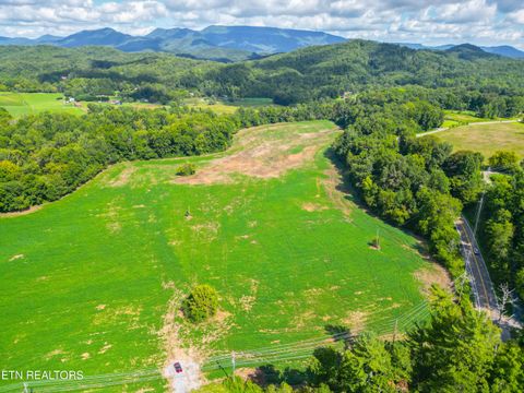 Tiny photo for 61 Cosby Hwy, Cosby, TN 37722 (MLS # 1317447)