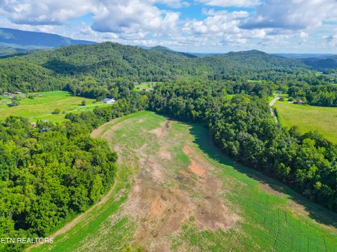 Tiny photo for 61 Cosby Hwy, Cosby, TN 37722 (MLS # 1317447)