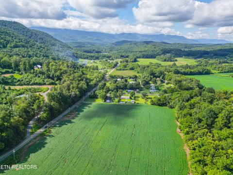 Tiny photo for 61 Cosby Hwy, Cosby, TN 37722 (MLS # 1317447)