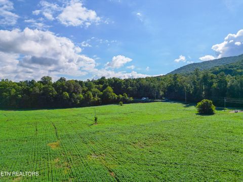 Photo of 61 Cosby Hwy, Cosby, TN 37722 (MLS # 1317447)