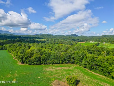 Tiny photo for 61 Cosby Hwy, Cosby, TN 37722 (MLS # 1317447)