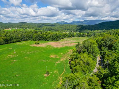 Tiny photo for 61 Cosby Hwy, Cosby, TN 37722 (MLS # 1317447)