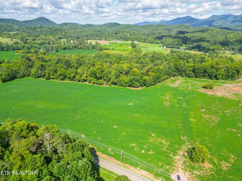 Tiny photo for 61 Cosby Hwy, Cosby, TN 37722 (MLS # 1317447)