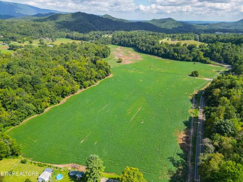 Tiny photo for 61 Cosby Hwy, Cosby, TN 37722 (MLS # 1317447)