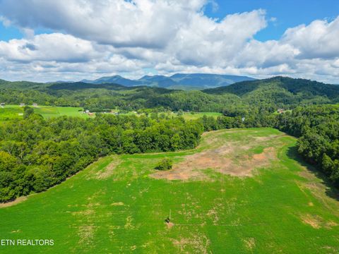Tiny photo for 61 Cosby Hwy, Cosby, TN 37722 (MLS # 1317447)