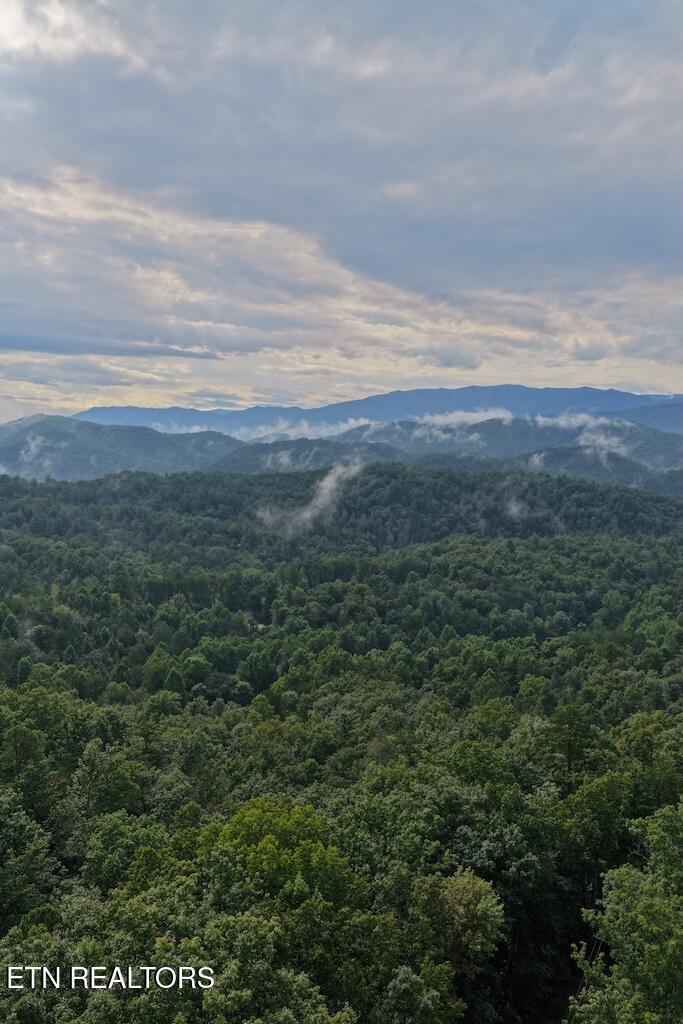 Photo of 42 Shady Oaks Way, Sevierville, TN 37876 (MLS # 1353032)