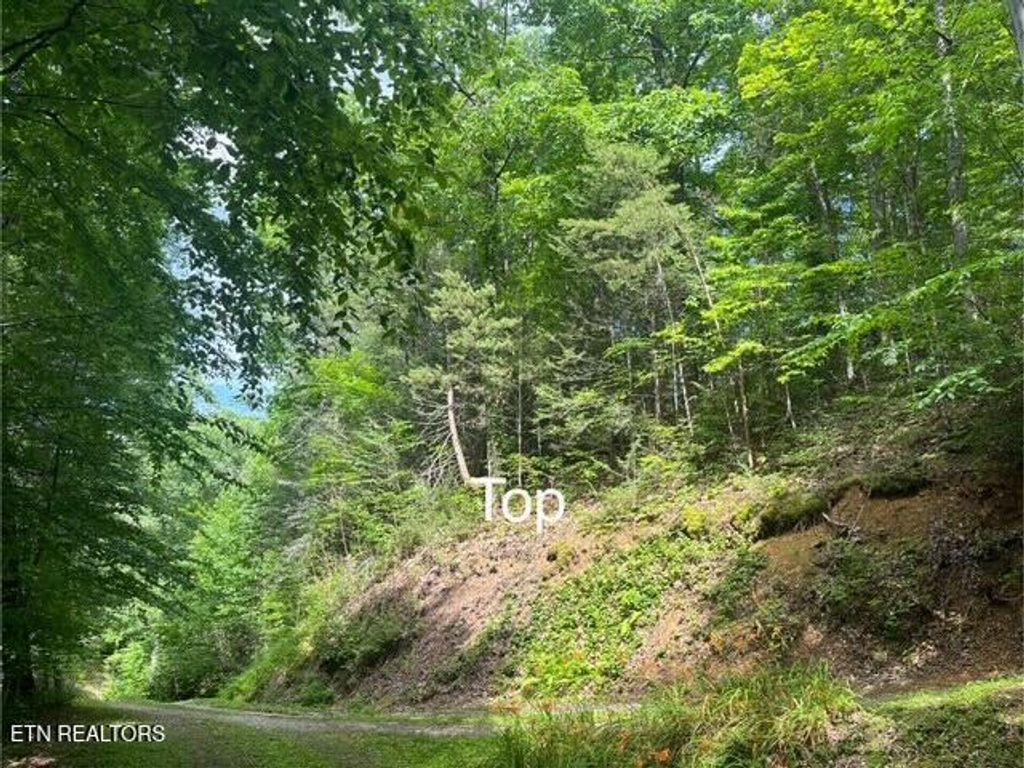 Photo of Shady Grove Court, Sevierville, TN 37876 (MLS # 1315312)