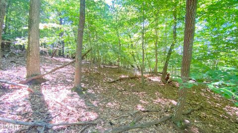Tiny photo for 2 Flat Woods Rd, Dandridge, TN 37725 (MLS # 1331555)