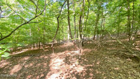 Tiny photo for 2 Flat Woods Rd, Dandridge, TN 37725 (MLS # 1331555)