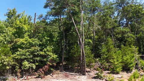 Photo of 2 Flat Woods Rd, Dandridge, TN 37725 (MLS # 1331555)