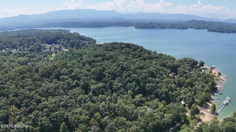 Tiny photo for 2 Flat Woods Rd, Dandridge, TN 37725 (MLS # 1331555)