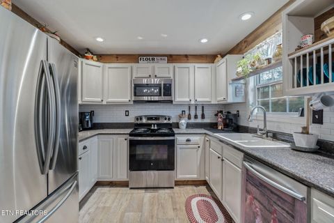 Tiny photo for 124 Mac Ivey Lane, LaFollette, TN 37766 (MLS # 1323844)