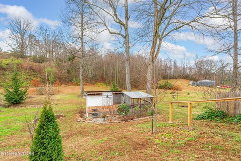 Tiny photo for 124 Mac Ivey Lane, LaFollette, TN 37766 (MLS # 1323844)