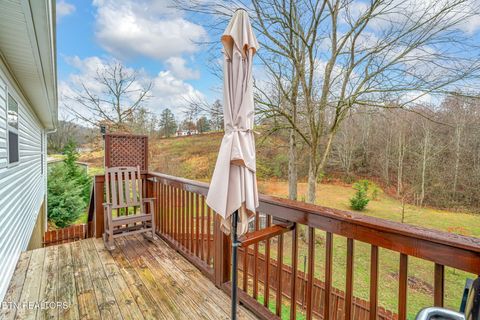 Tiny photo for 124 Mac Ivey Lane, LaFollette, TN 37766 (MLS # 1323844)