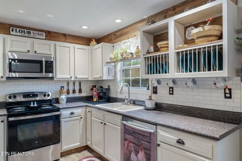 Tiny photo for 124 Mac Ivey Lane, LaFollette, TN 37766 (MLS # 1323844)