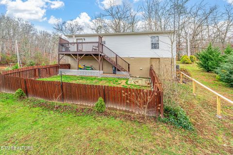 Tiny photo for 124 Mac Ivey Lane, LaFollette, TN 37766 (MLS # 1323844)