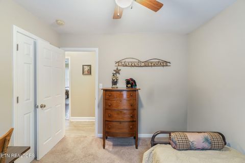 Tiny photo for 124 Mac Ivey Lane, LaFollette, TN 37766 (MLS # 1323844)