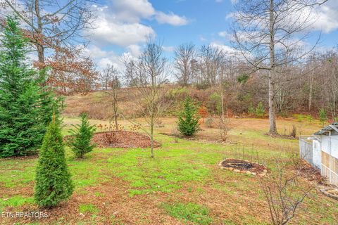 Tiny photo for 124 Mac Ivey Lane, LaFollette, TN 37766 (MLS # 1323844)