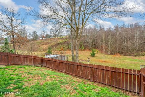 Tiny photo for 124 Mac Ivey Lane, LaFollette, TN 37766 (MLS # 1323844)