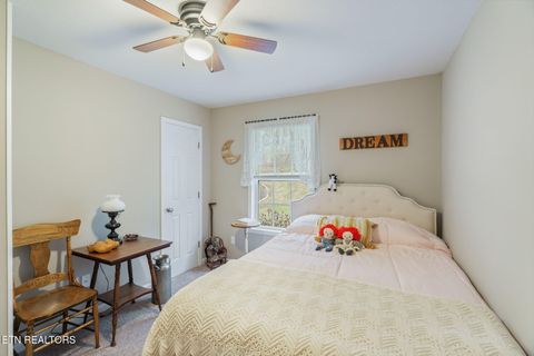 Tiny photo for 124 Mac Ivey Lane, LaFollette, TN 37766 (MLS # 1323844)