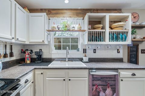 Tiny photo for 124 Mac Ivey Lane, LaFollette, TN 37766 (MLS # 1323844)